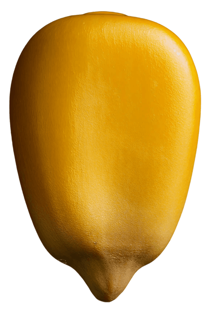 Grão caindo